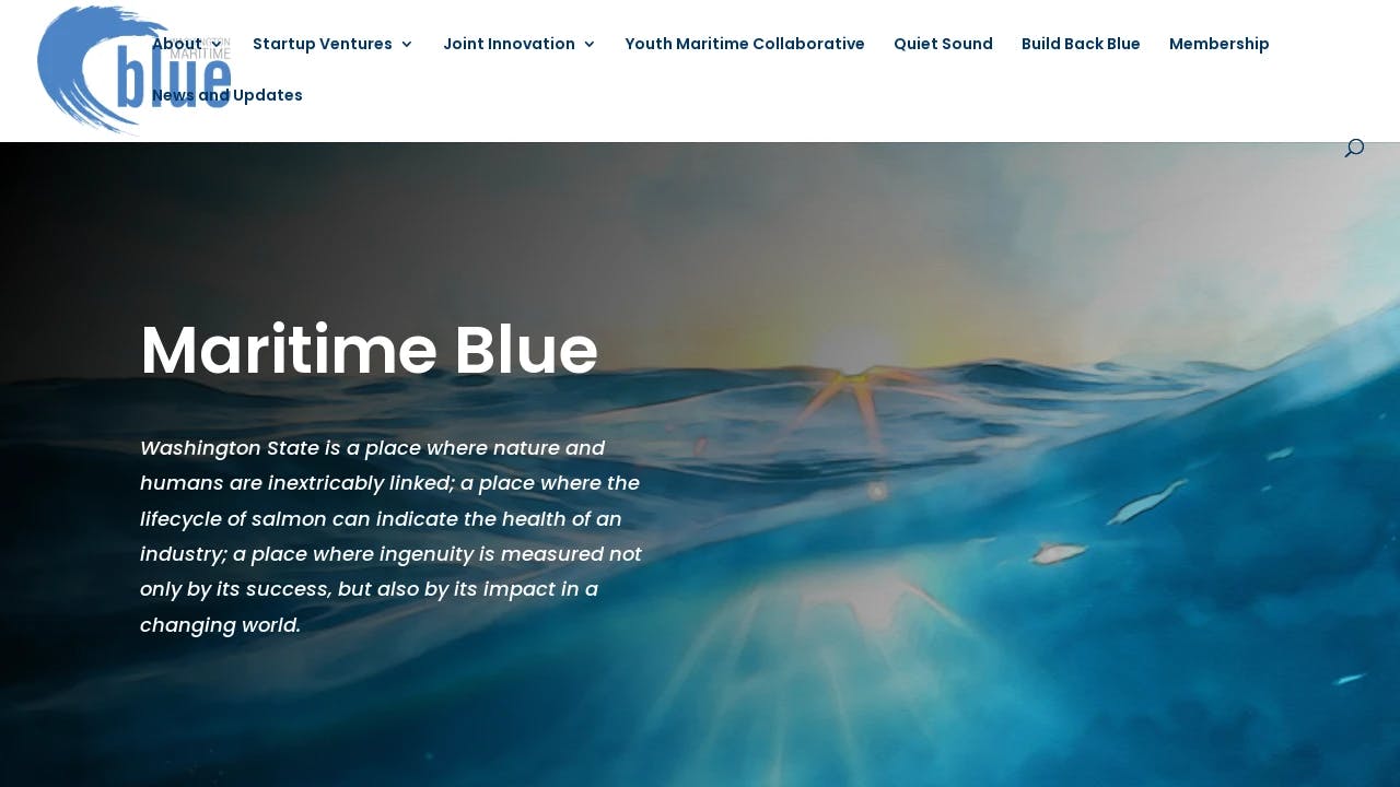 Washington Maritime Blue - promoting the start-ups of tomorrow