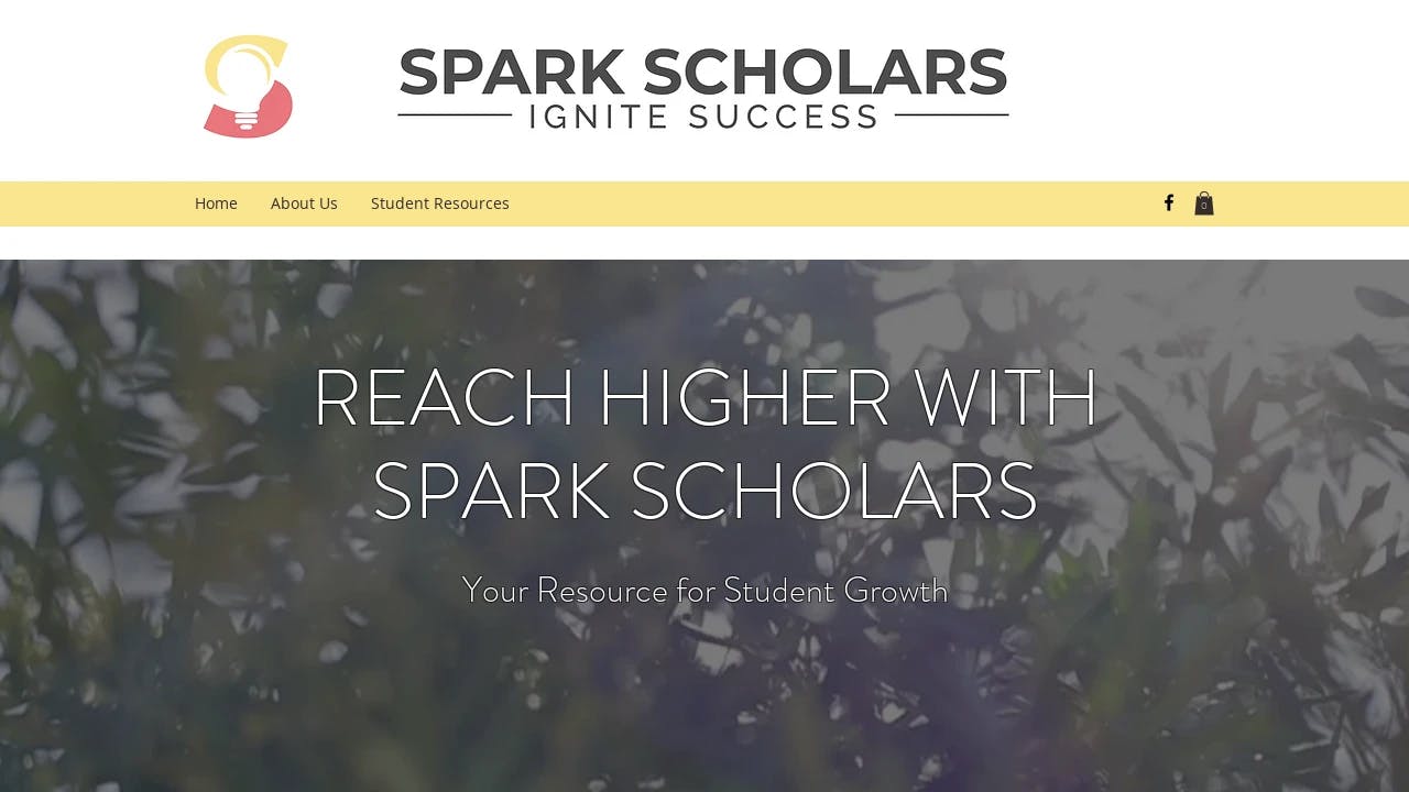 SPARK Scholars - supporting founders in their growth journey