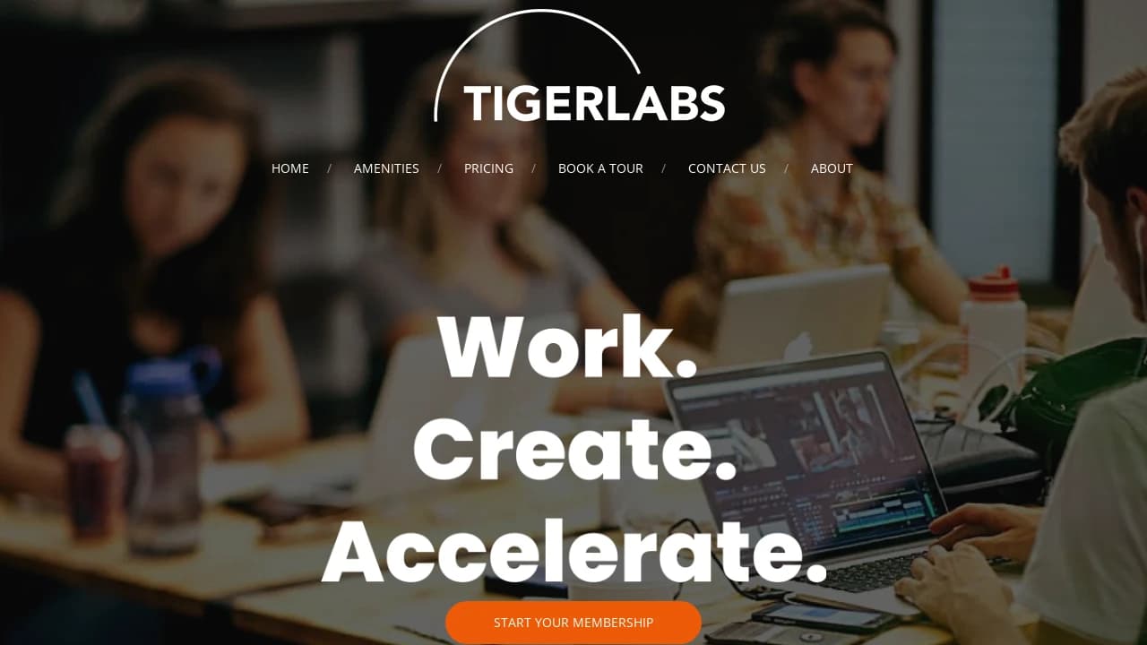 Tigerlabs - building New Jersey's entrepreneurial future