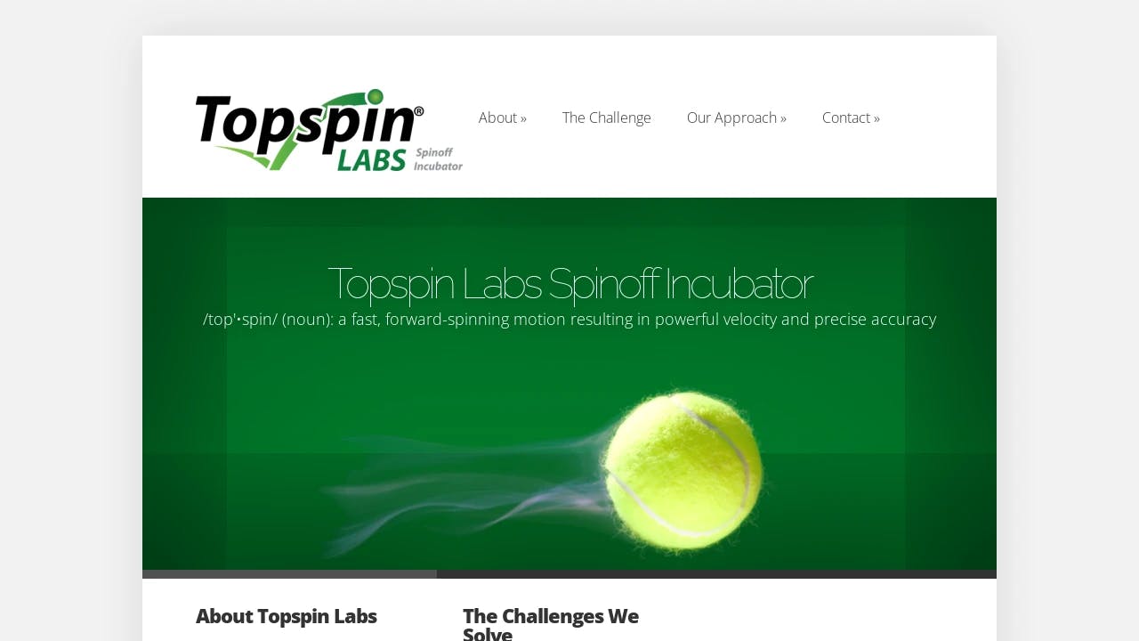 Topspin Labs - supporting founders in their growth journey