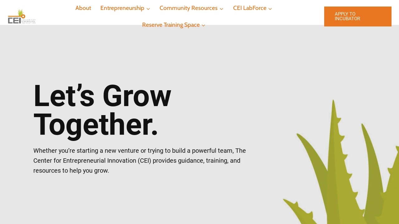 Center for Entrepreneurial Innovation - supporting founders in their growth journey